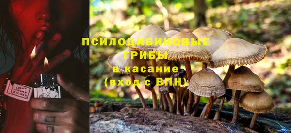 таблы Аркадак