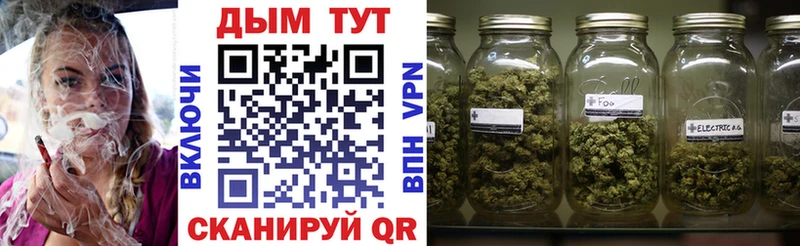 Канабис ГИДРОПОН  Купить закладки  Бакал 